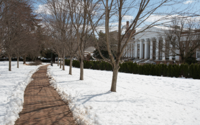 Winter Pest Control: Why Year-Round Prevention Matters